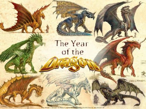 the year of the dragons.jpg